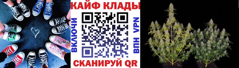 Купить наркотик аптеки Мегион Псилоцибиновые грибы Меф мяу мяу А ПВП Каннабис ГАШ COCAIN