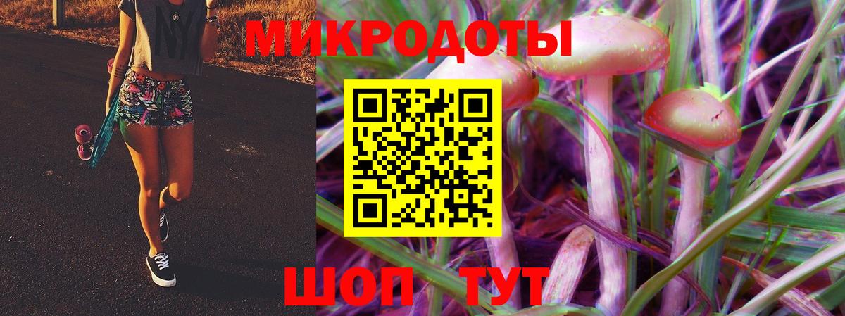 Мегион  Псилоцибиновые грибы Psilocybe  Вход с VPN 